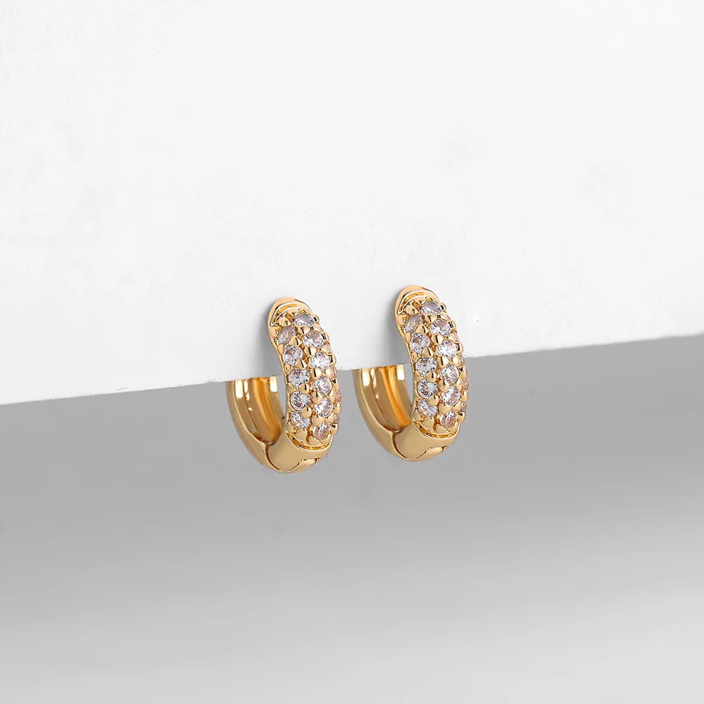 Hoops Cartilage Earring