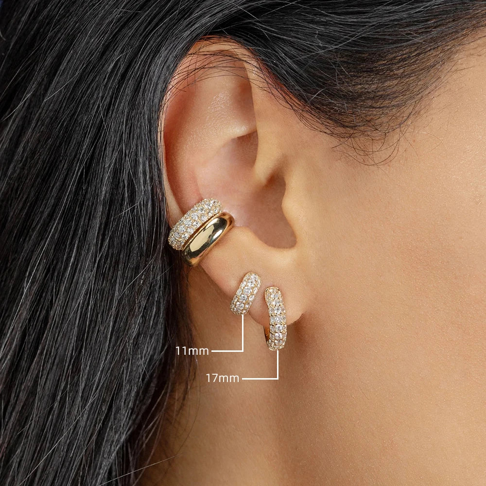 Hoops Cartilage Earring